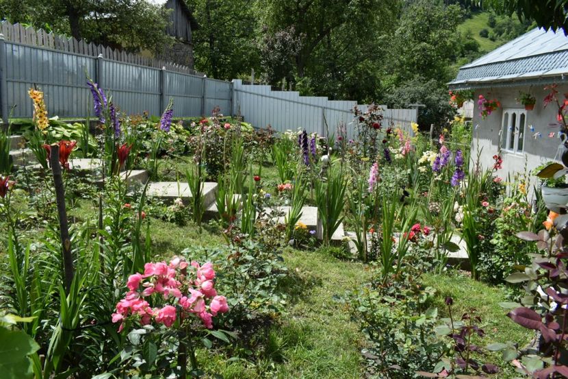  - 000000000000001   GRADINA MEA