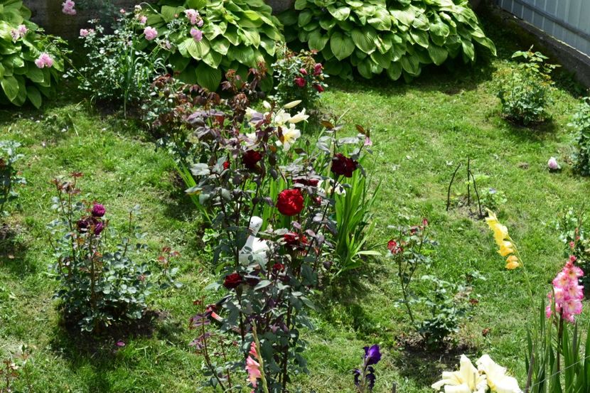  - 000000000000001   GRADINA MEA