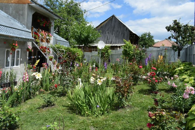  - 000000000000001   GRADINA MEA