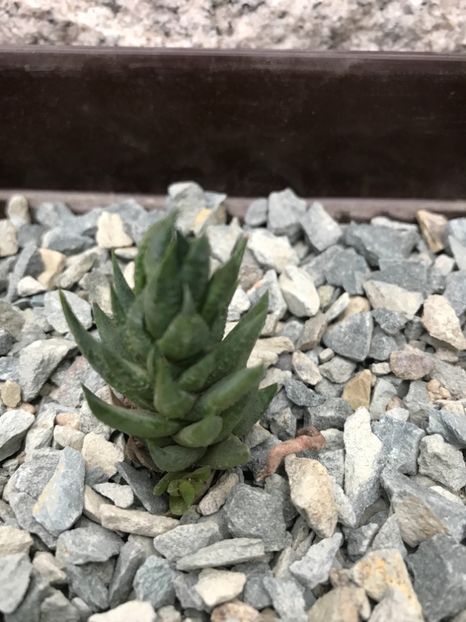 Nr 26 - De vanzare 2018