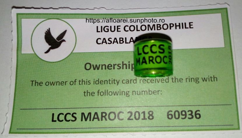 LCCS MAROC 2018 - MAROC