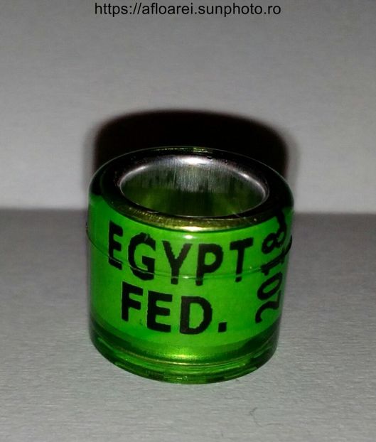 EGYPT FED 2018 - EGYPT