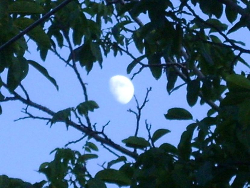 Luna in crestere in Sagetator - Luna - Soarele si norii - 1