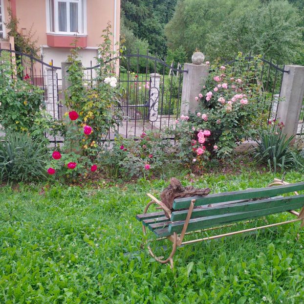  - gradina iulie 2018