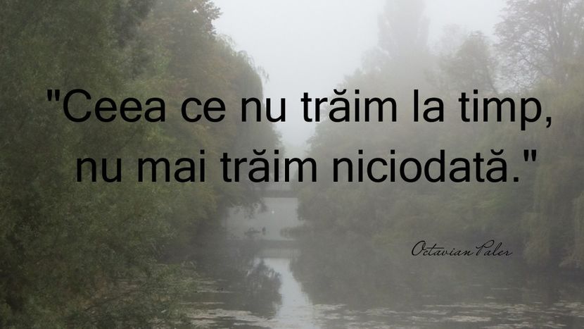 citate-octavian-paler-despre-viata-1 - Hello