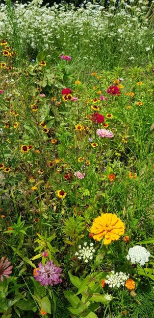 8AD8587C-F2FE-47A4-AFAC-891B02A79ABC - Carciumarese 2018