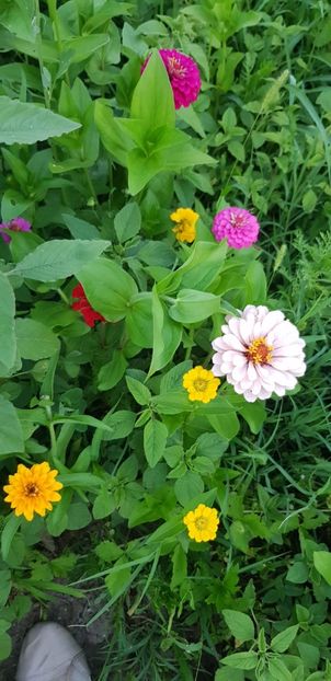 A946AE26-2F93-4423-9B88-1A1AE4025C95 - Carciumarese 2018