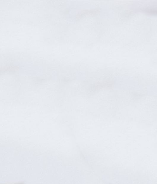  - 01 background - 02