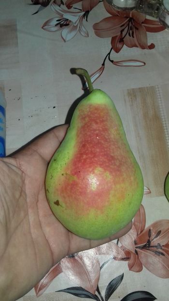  - Păr de la dl Gigi