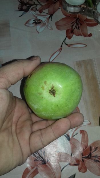  - Păr de la dl Gigi