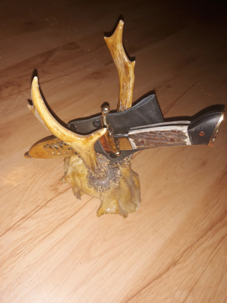  - Cutite Mai-Iulie 2018