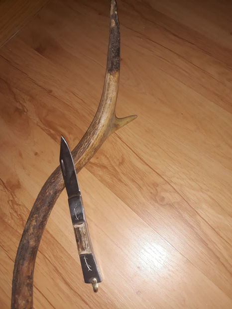  - Cutite Mai-Iulie 2018