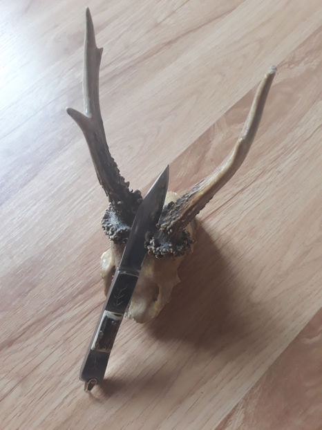  - Cutite Mai-Iulie 2018