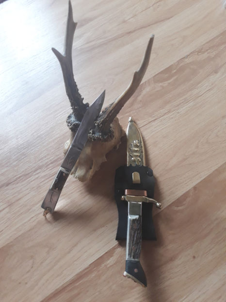  - Cutite Mai-Iulie 2018