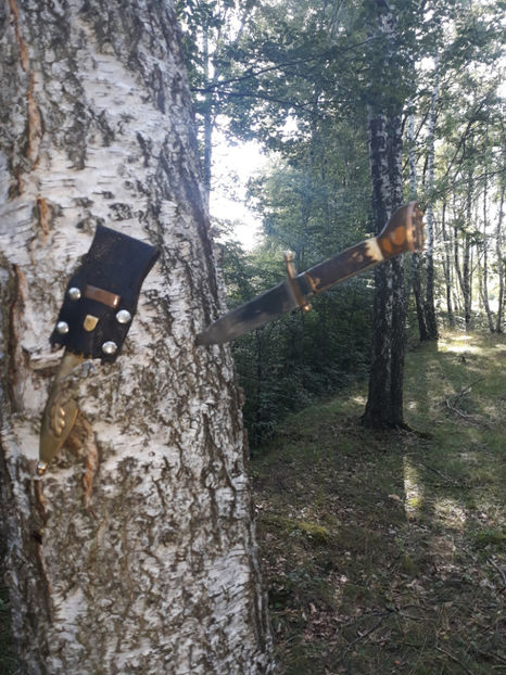  - Cutite Mai-Iulie 2018