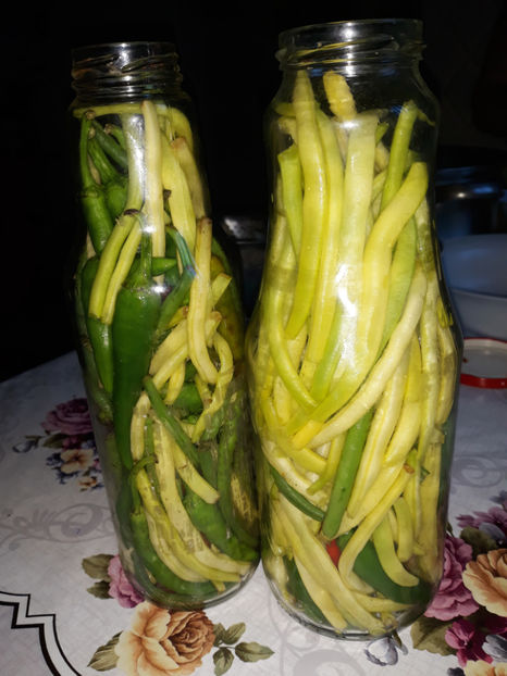  - Legume din Gradina 2017-2018