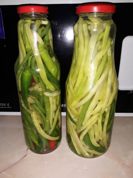  - Legume din Gradina 2017-2018