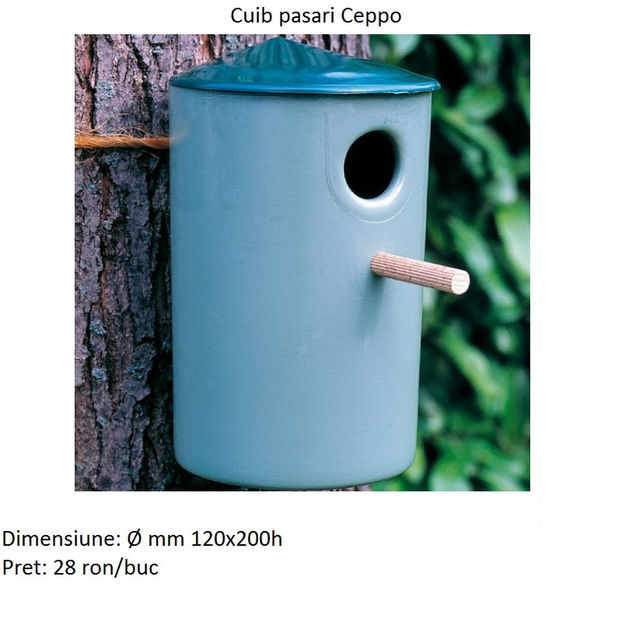 N101 - STA Soluzioni