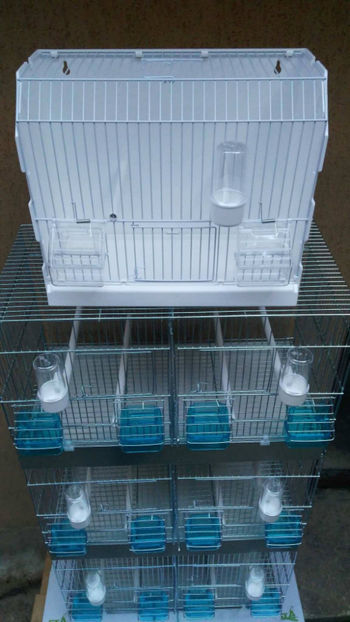 36925718_2252291698120198_1811043737124470784_o_2252291691453532 - Colivii duble