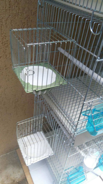 36926081_2252292424786792_2629998454629203968_o_2252292418120126 - Colivii duble