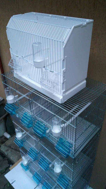 36938972_2252291458120222_290262574287552512_o_2252291451453556 - Colivii duble