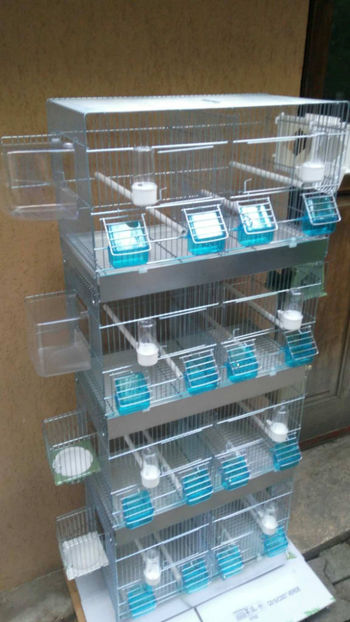 36941073_2252291031453598_3368415006256267264_o_2252291021453599 - Colivii duble