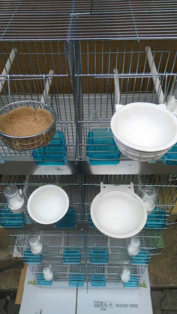 36946223_2252293014786733_22741280601669632_o_2252293004786734 - Colivii duble