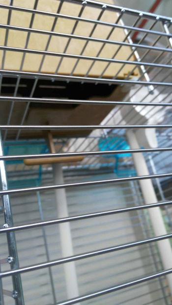 36961278_2252290508120317_1768666080793853952_o_2252290498120318 - Colivii duble