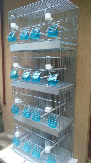 36961572_2252292268120141_2768769599582240768_o_2252292251453476 - Colivii duble