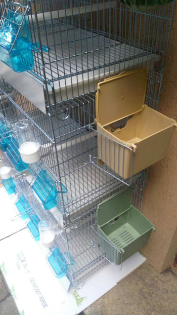 36968070_2252292074786827_6183465657296748544_o_2252292071453494 - Colivii duble