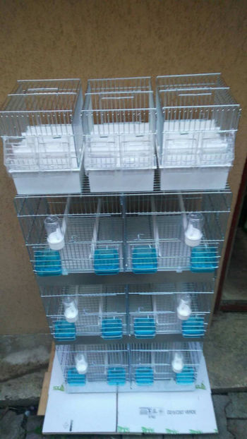 36978814_2252290838120284_8002791744930316288_o_2252290834786951 - Colivii duble