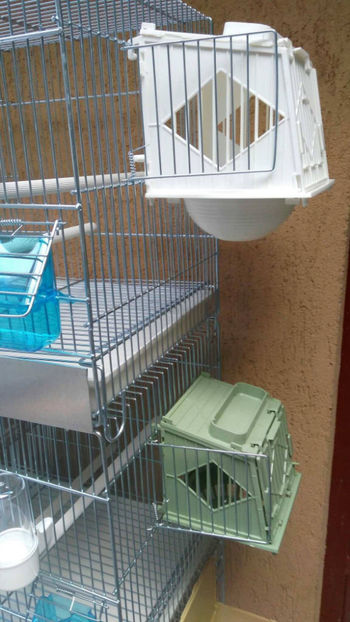 36980952_2252291631453538_8584814728990162944_o_2252291628120205 - Colivii duble