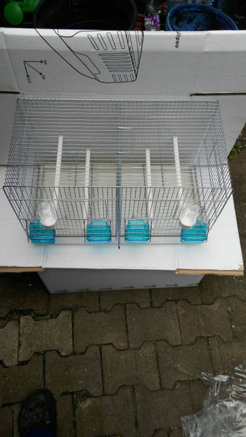 37008548_2252292594786775_5166043992852267008_o_2252292591453442 - Colivii duble