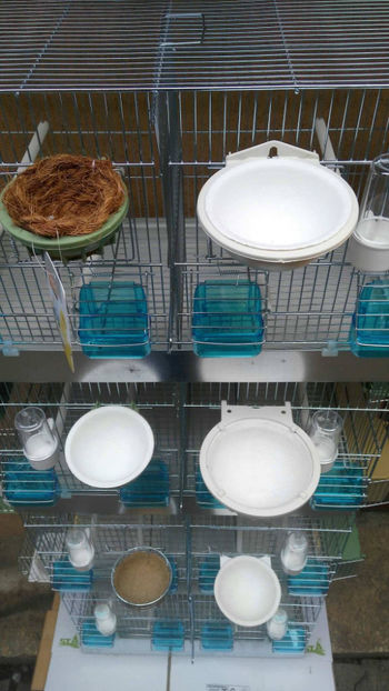 37011749_2252292811453420_2511998647692951552_o_2252292798120088 - Colivii duble