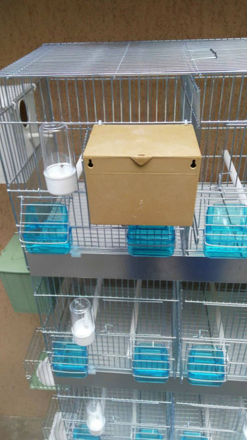 37011789_2252291361453565_6224278180300062720_o_2252291358120232 - Colivii duble