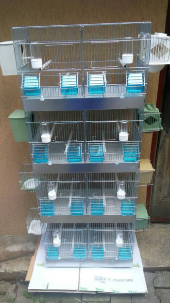 37019506_2252290501453651_82121561405915136_o_2252290494786985 - Colivii duble