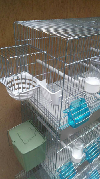 37030211_2252291218120246_2412116507459846144_o_2252291208120247 - Colivii duble