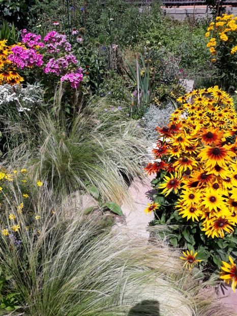  - Flori de grădină-2018 Vara