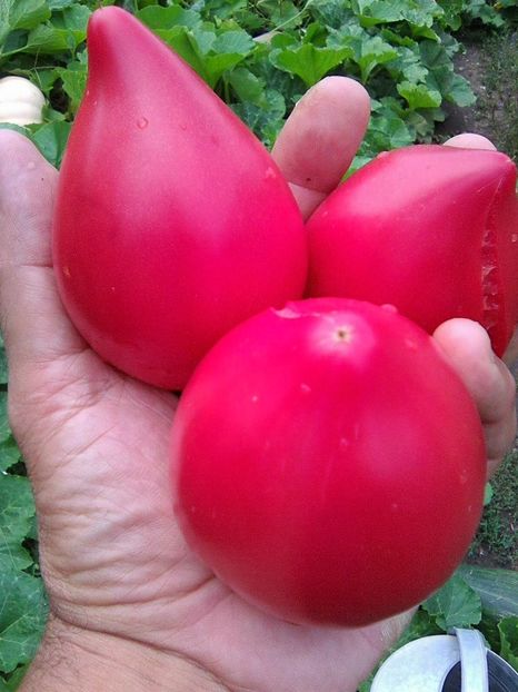 Photo0510 - Rozov si Anna Rusian