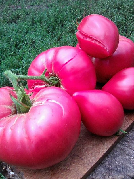 Photo0513 - Rozov si Anna Rusian