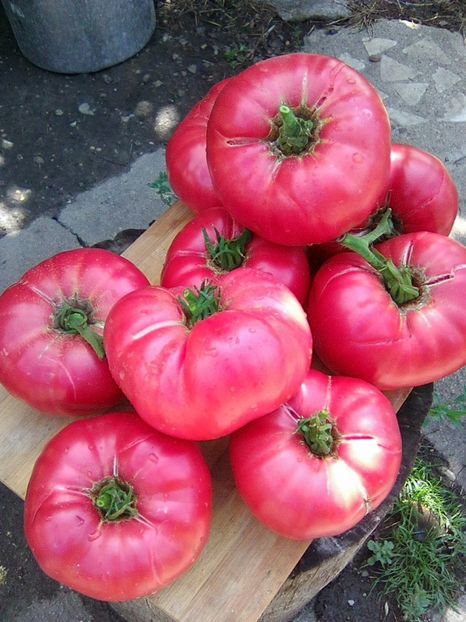 Photo0523 - Rozov si Anna Rusian