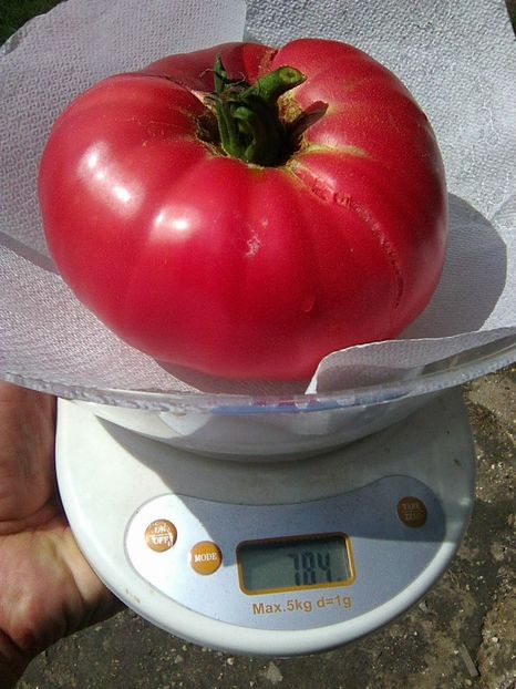 Photo0532 - Rozov si Anna Rusian