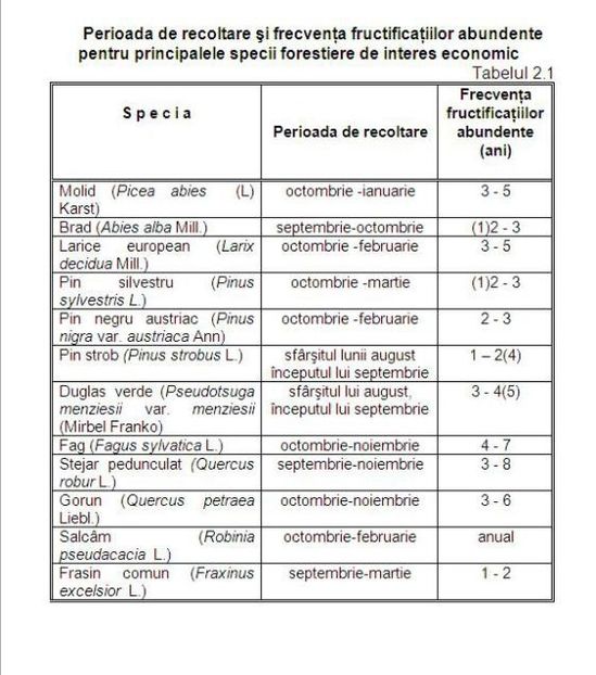 recoltare-seminte - Recoltarea semintelor speciilor forestiere