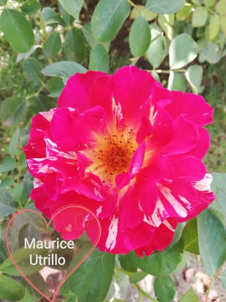  - Maurice utrillo