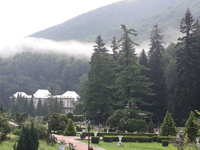  - slănic 2018