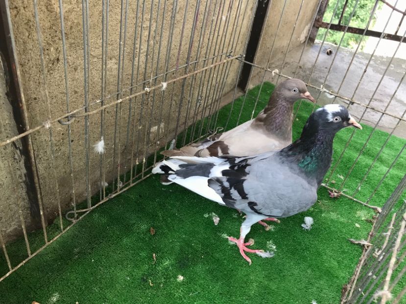 FD5B150D-7A7D-4B96-A377-31357557698E - Wuta