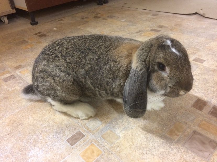 CB0E5997-5269-46DD-9215-07360B1393EC - BERBEC GERMAN