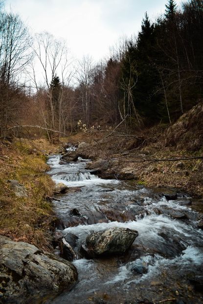 Sfarsit.. - Aprilie - Mai