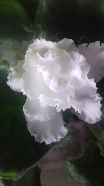  - ZZ LE Vzbitie Slivki sport