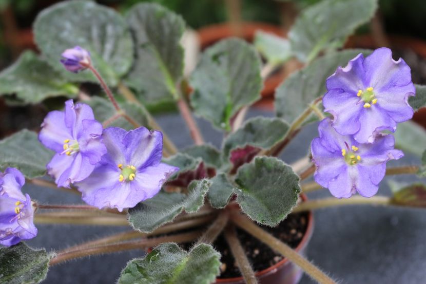 Yukako sport - Yukako sport